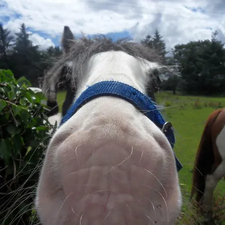 Apartment Ethan House